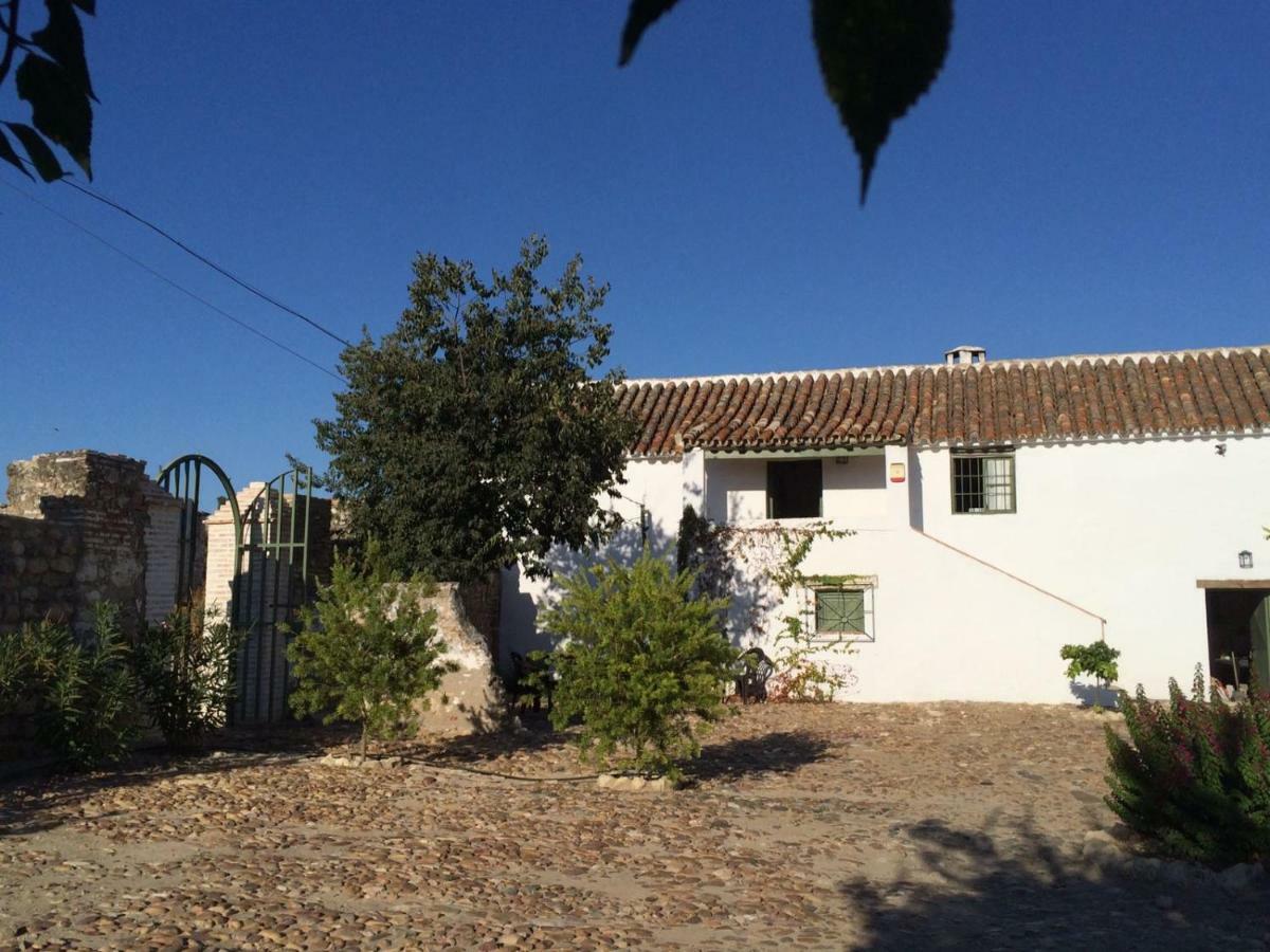 Casa Del Almezo Guest House Almodóvar del Río Eksteriør bilde
